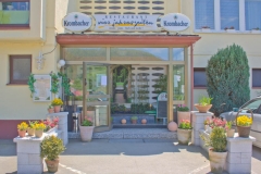 Gesellschaftszimmer / Eingangsbereich